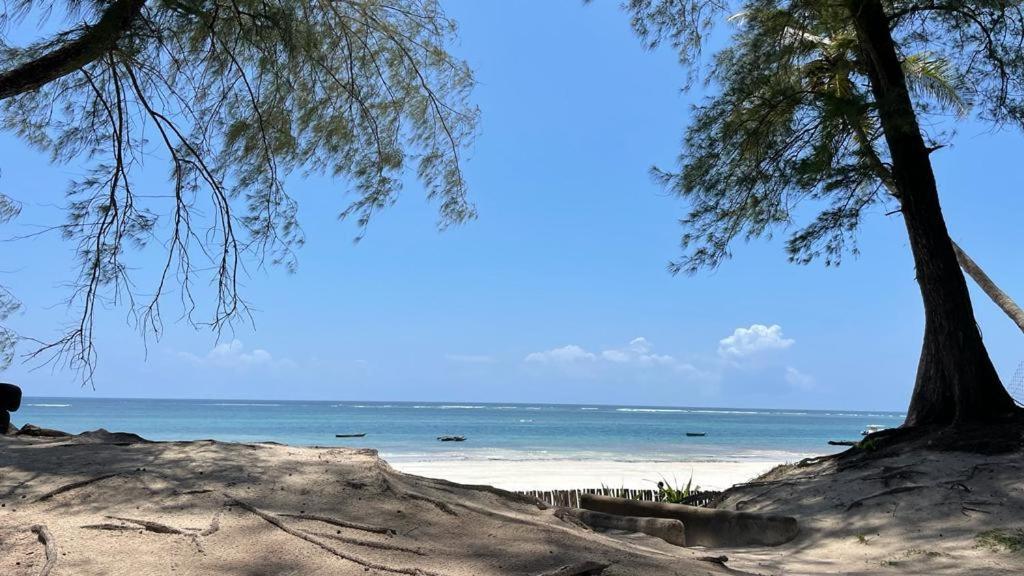 The Pool House & The Colobus House, Bella Seaview, Diani Beach, Kenya Eksteriør bilde